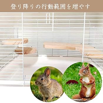 Amazon | IYOIYA チンチラ コーナー ステージ セット 4点入り